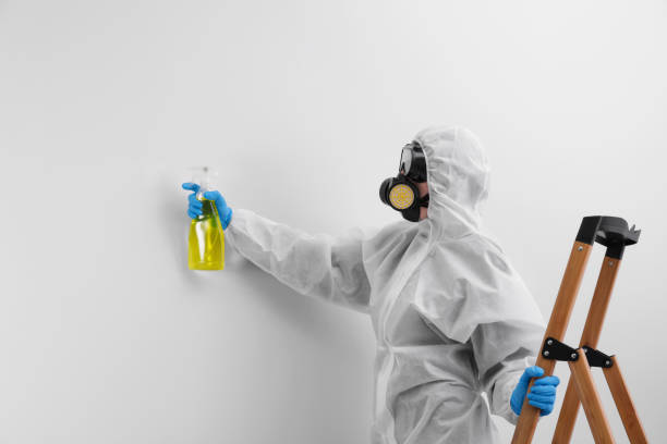 Why You Should Choose Our Mold Remediation Services in Broadlands, VA